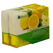 2 PACK TREEFROG JDM LEMON SQUASH SCENT AIR FRESHENER - TREE FROG FRESH BOX MINI