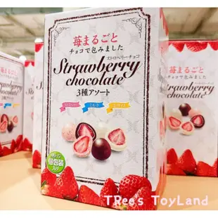 現貨到呦♥️日本好市多熱賣整顆草莓巧克力三重奏 meji明治 黑巧克力北海道杏仁白巧克力 呼吸巧克力 東京物語白色戀人