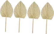 Elegant Dried Palm Leaf Decor Wedding Layout Palm Leaves Dried Fronds for Party Festival Scene Decor