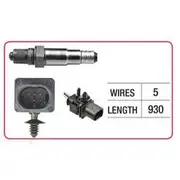 RAE Oxygen Sensor - OX798