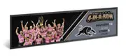 Penrith Panthers NRL 2024 Premiership Premiers Bar Runner 4 in a Row