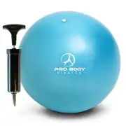 Ball Small Exercise Ball w/Pump 9 Inch Barre Ball Mini Soft Yoga Ball Workout...
