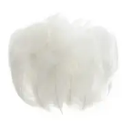 Colorful Feathers 3-5inch, 300pcs Goose Feathers Bulk, White