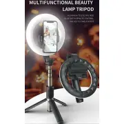 Teq Q07 Bluetooth Ring Light Selfie Stick + Tripod Stand