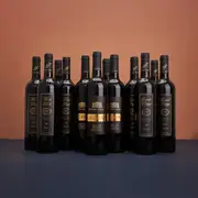 $2,390 Huge Premium Shiraz 6-Pack for $399 - Buy Online | The Wine Collective