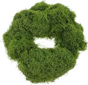 GAROZATION High Realism Faux Moss for Crafts Artificial Moss for Use for Garden Landscapes Centerpiece Table Decorations and Potted Plant Decor