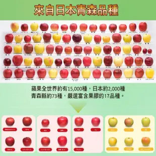 免運!【JYC極研萃】3盒 速沛纖紅藜蘋果果膠 Pectin Slim Detox 10包/盒