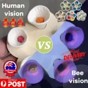 Bee Insect Drinking Cup, Thirsty Pollinators Need Safe Places to Drink, Bee CuAF