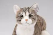 NinjaCat EX - The Perfect Pheasant Tiger Companion Pet for All Ages - Buy Now!