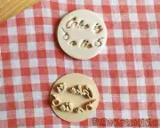 Cake Is A Lie Stamp Embosser Cookie Cutter Pastry Fondant Dough Biscuit