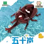 廠家直銷五十嵐兒童水上玩具 PVC充氣浮排 防真獨角仙水上浮排-誠信優品