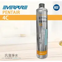 在飛比找蝦皮購物優惠-【汎澄淨水】 美國原廠 愛惠普 EVERPURE 4C 濾心