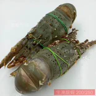 【海鮮7-11】生凍龍蝦 -剖半 200-250克/隻 🚩殼薄肉多的青殼龍蝦，美味極佳！  **每隻300元**