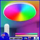 24W Smart Ceiling Light Compatible with Alexa for Party (White with Remote) AU
