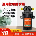 12V農用噴霧器水泵電動小型高壓雙核隔膜泵鋰電池花灑