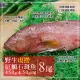 【優鮮配】峇里島海底紅金-野生紅鰷石斑魚X8條(450±50G/條)超值免運組