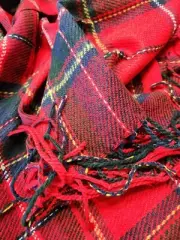 *New Wander Agio Womens Scarf Plaid Red Blue