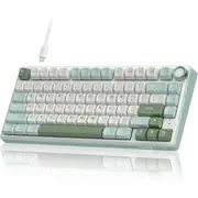 Royal Kludge RK R75 Mechanical Keyboard (Sky Blue)