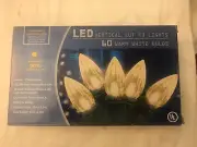 White Lights Vertical C3 60 bulbs. 2nd box $2less. Value!!! Cont US. Gr Advtg