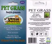 1 x CAT GRASS - PET GRASS Packet Approx 6,000 seeds (4 grams) Dactylis glomerata