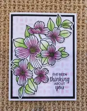 CARD KIT Handmade ALL OCCASION Birthday Thinking of You Friend Get Well 4 Cards