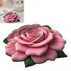 Fast-drying Floral Plush Rug Quick-drying Floor Mat with Diatomaceous