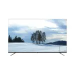 【AIWA 愛華】65吋4K HDR GOOGLE TV QLED量子點智慧聯網液晶顯示器(AI-65QL24)