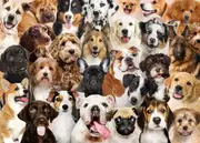 Peter Pauper Press Jigsaw Puzzle 1000 Pieces - All The Dogs 333919