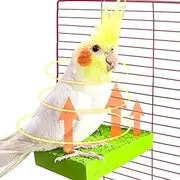 Heated Perches for Birds - 5W Thermostatic Flat Bird Heater for Cage,Safe Bird Perch Stand Warmer for Birds, Parrots, Hamsters, and Chinchillas Xianers