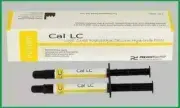 PREVEST DENPRO CAL LC LIGHT CURE RADIOPAQUED CALCIUM HYDROXIDE PASTE 2 x 2Gm --A