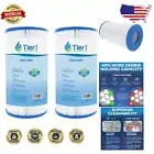 High-Performance Pool & Spa Filter Cartridge 2-Pk - Fits Dynamic Series Models