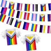 LoveVC 2 Packs Progress Rainbow Gay Pride Flag Banner String LGBTQ Inclusive Bunting Flags,66 Feet 60 Flags