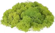 sourcing map Preserved Reindeer Moss, 17.6oz Fake Moss for Crafts Artificial Dried Moss for Decoration Terrariums Potted Plants, Chartreuse