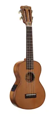 Ukulele - Master series - concert - acoustic / electric