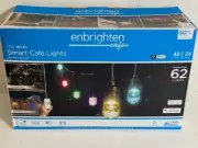 24-Lights Wi-Fi 48 ft. Indoor/Outdoor Plug-In Integrated LED String-Light