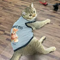 在飛比找蝦皮購物優惠-寵物涼感衣 寵物涼感背心 貓咪涼感衣 貓咪衣服夏天 衣服夏裝