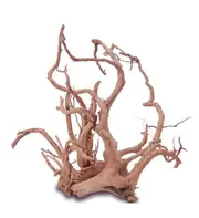 Dymax Tweety Wood Extra Large