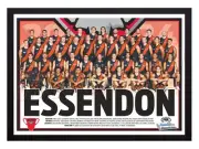 Framed 2024 Essendon Bombers AFL Poster - 84cm x 59.5cm x 3cm