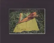 8X10" Matted Print Art Picture: Gabriel Orozco, Sleeping Leaves