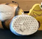 Backyard buzz Goat’s milk and honey soap