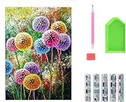HIGHROCK 5D Diamond Painting Kit, Gem Art and Craft Puzzle, Adults Paint with Diamonds Full Kit, DIY Diamond Art Painting for Wall Decorations.（Colorful Dandelion）