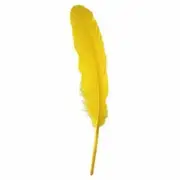 Goose Pointer Feathers 10 grams - Yellow