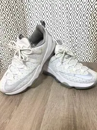 在飛比找Yahoo!奇摩拍賣優惠-LeBron 13 low白/反光銀 Nike