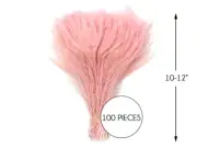 100 Pieces – Dusty Pink Bleached & Dyed Peacock Tail Eye Wholesale Feathers Bulk