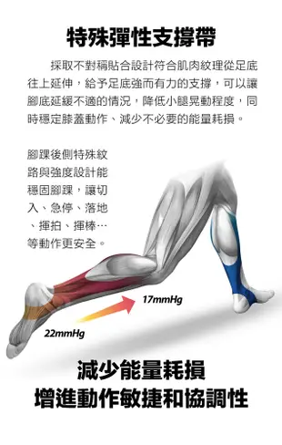 【Titan太肯運動】壓力運動襪 Elite (多色可選)_ 久站族小腿救星_ (5折)