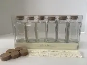 New NOS Pier 1 Imports 6 Glass Spice Jars w Extra Stoppers & Labels 4.5”