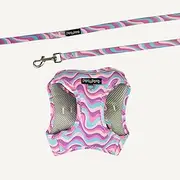 Dan & Sam Disco Party Step-in Cat Harness & Lead - Small, Vibrant & Secure Cat Walking Set, Comfortable & Adjustable Fit, Ideal for Outdoor Adventures, Easy to Use & Stylish Design
