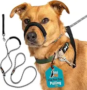 Total Pet Figure of 8 Dog Lead - Anti Pull Stop Dogs Pulling - Rope Slip Leads with Padded Nose Support (Small/Medium), Grey