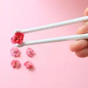 Cat Paw Chopsticks Meow Meow Chopsticks Cute & Unique Paw Prints Reusable