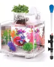 Betta Fish Tank, 1.6 Gallon Aquarium, Upgrade Hydroponics Growing System